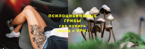 соль ск Костерёво