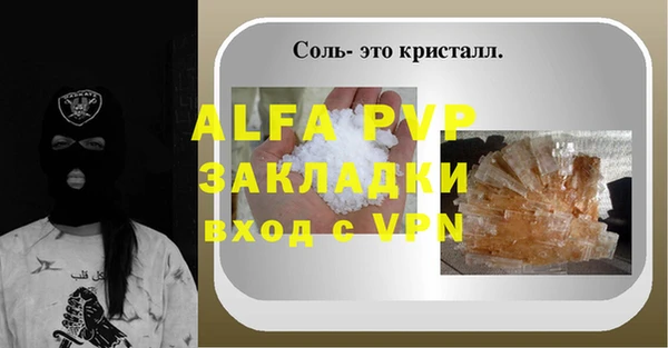 крисы Новодвинск