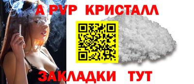шишки Гусиноозёрск