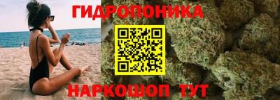 ПСИЛОЦИБИНОВЫЕ ГРИБЫ Гусев