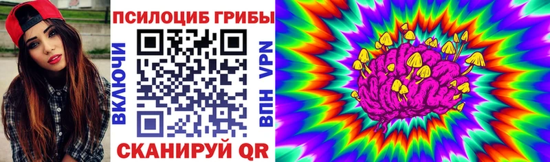 как найти наркотики  Комсомольск-на-Амуре  Псилоцибиновые грибы GOLDEN TEACHER 