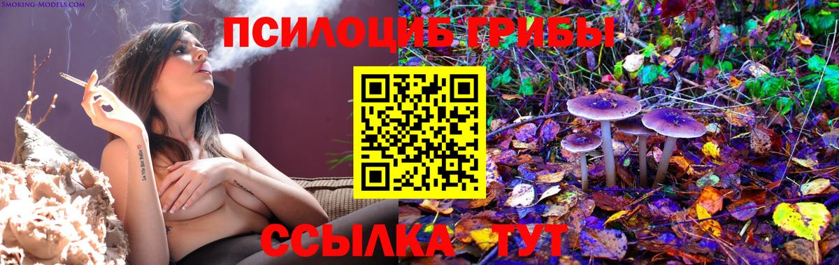 Псилоцибиновые грибы ЛСД Комсомольск-на-Амуре